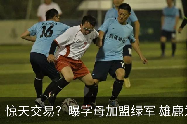惊天交易？曝字母加盟绿军 雄鹿为布朗寻找第三方